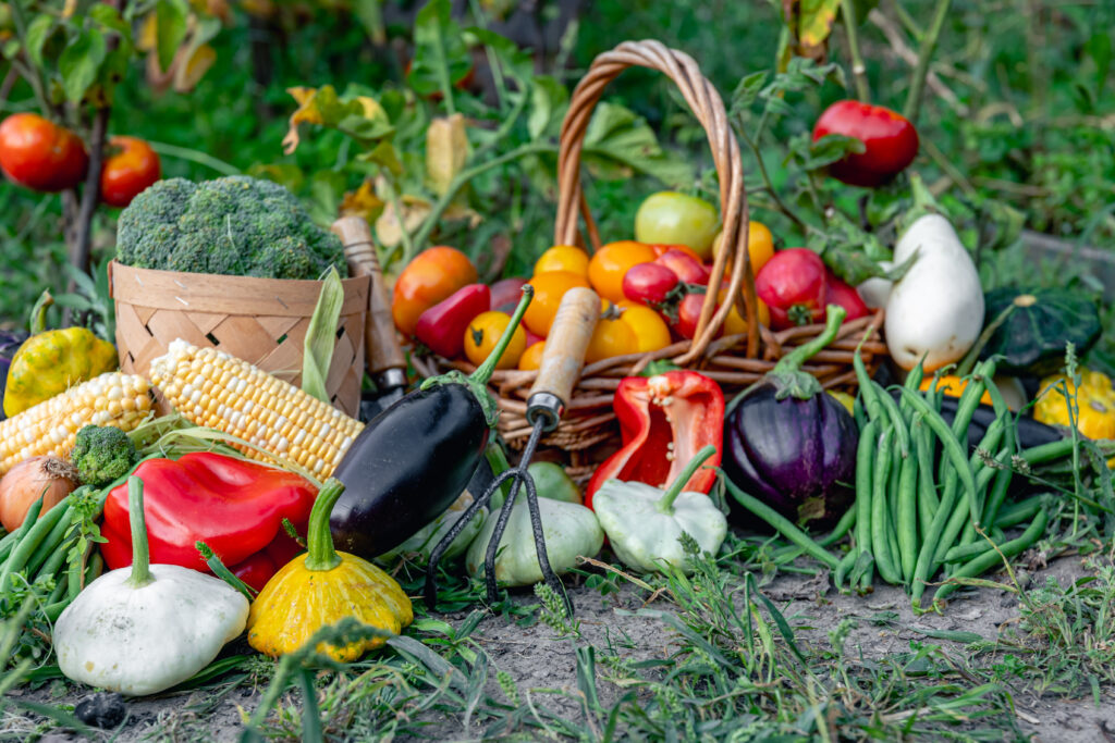 Microorganismos en la agricultura: mejora del crecimiento vegetal y vida postcosecha