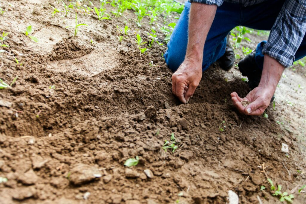 suelo agrícola con una persona plantando semillas