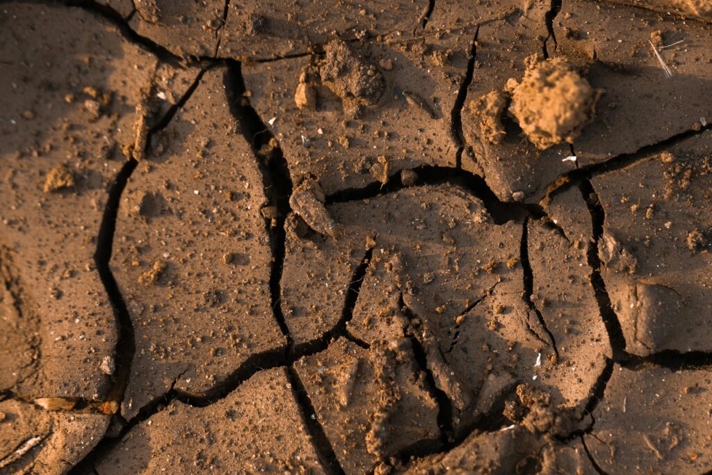 Suelo degradado que se puede mejorar con biofertilizantes.