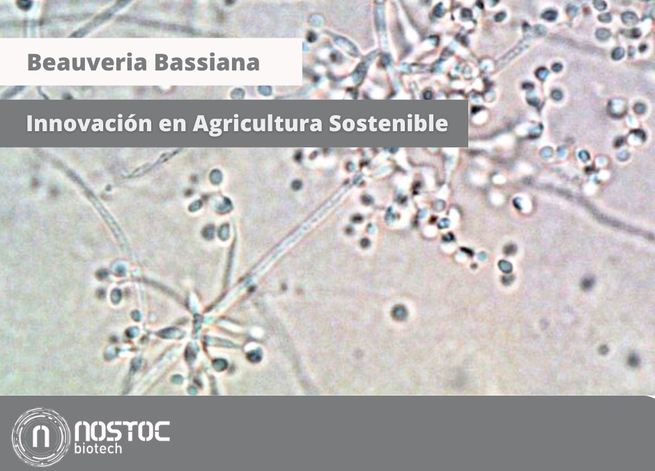 Beauveria Bassiana: Innovación en Agricultura Sostenible