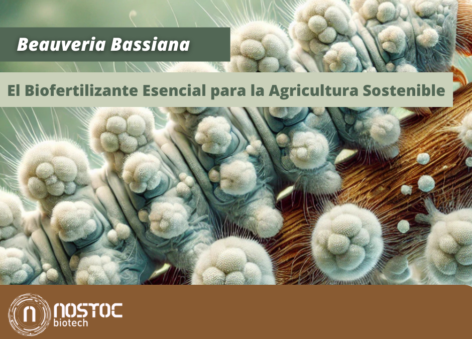 Beauveria Bassiana: El Biofertilizante Esencial para la Agricultura Sostenible