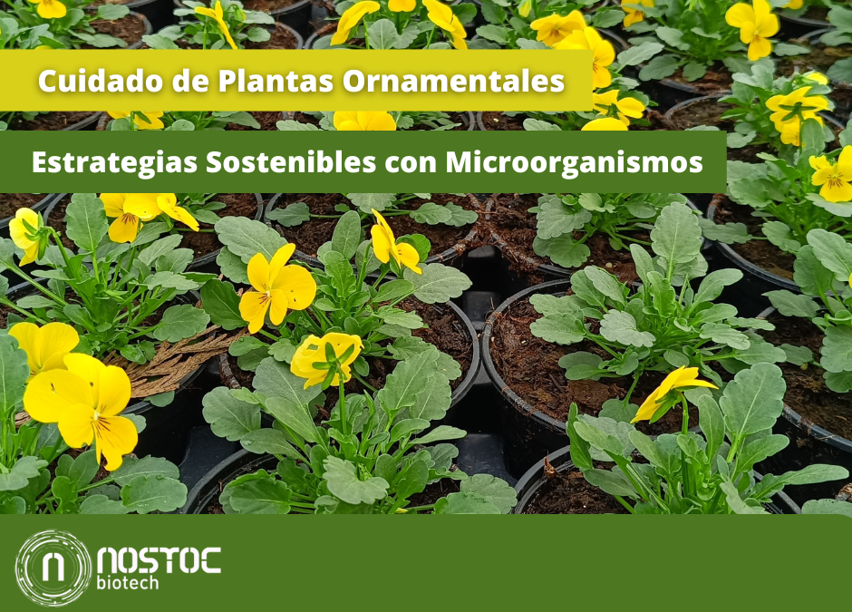 Cuidado de Plantas Ornamentales: Estrategias Sostenibles con Microorganismos