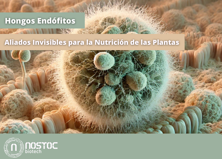 Ilustración científica de hongos endófitos interactuando con tejidos vegetales, mostrando mecanismos como resistencia inducida, micoparasitismo, antibiosis y competencia en un contexto agrícola