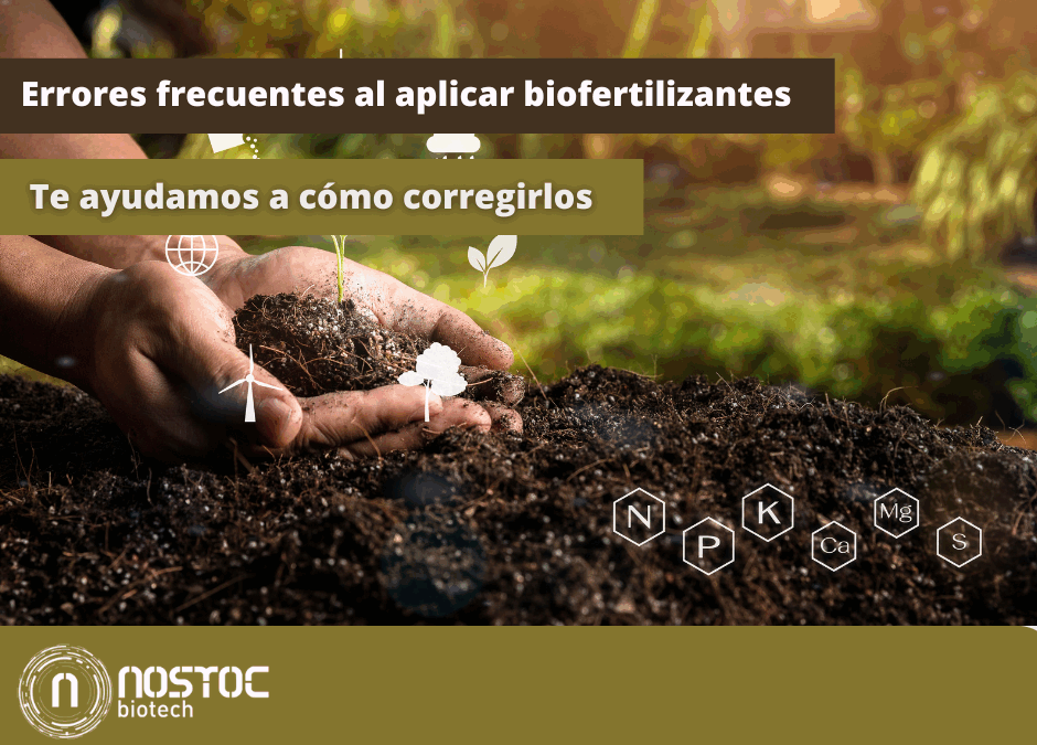 Errores frecuentes al aplicar biofertilizantes microbianos y cómo corregirlos