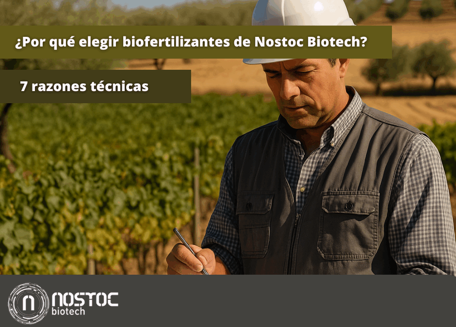 Agrónomo evaluando el estado del suelo en una finca con olivos, simbolizando la aplicación técnica de biofertilizantes en cultivos mediterráneos.