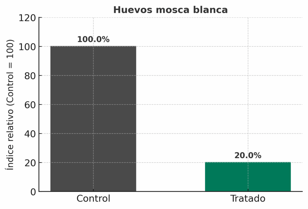 mosca blanca