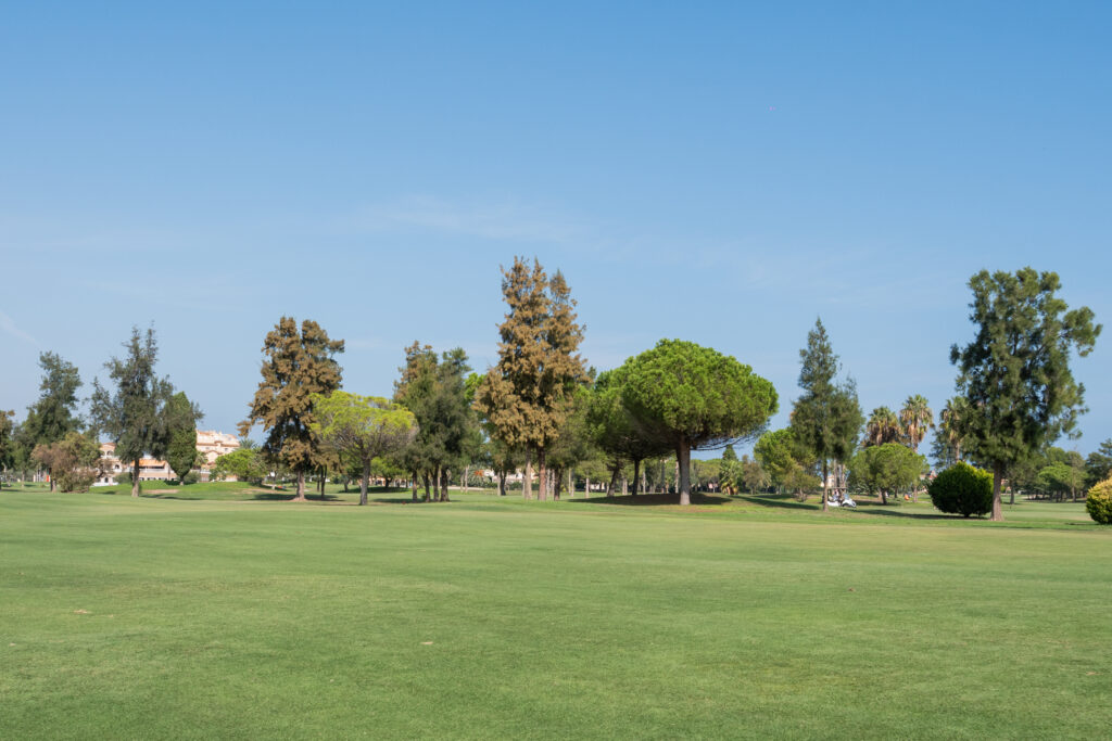 Green del campo de golf de Oliva mostrando mejora de vigor