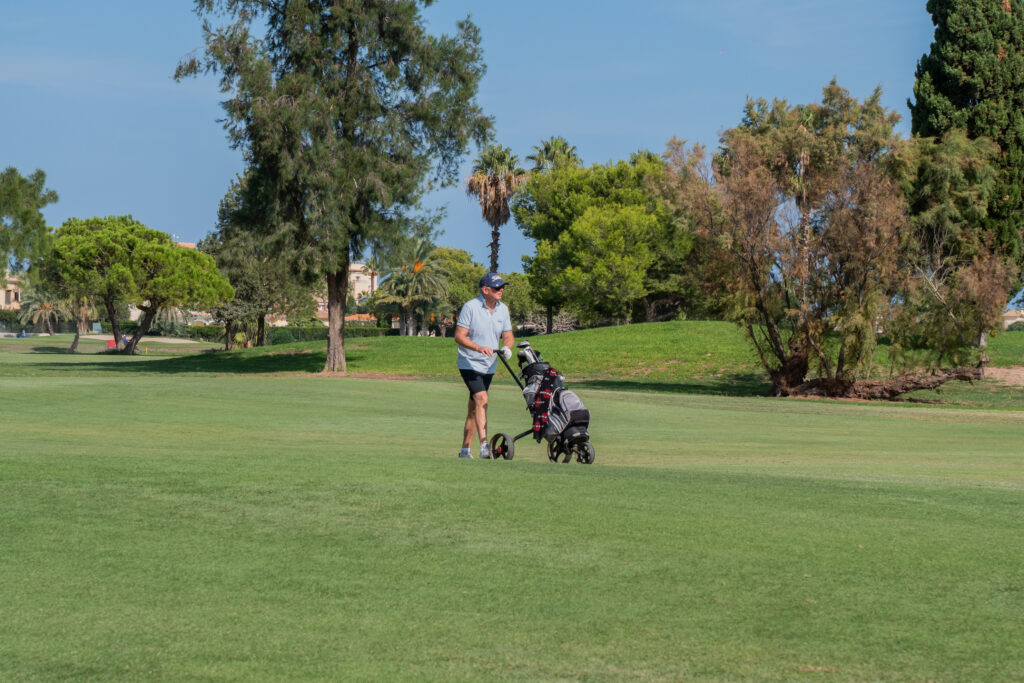 Detalle de la recuperación del césped tras la aplicación de Granite