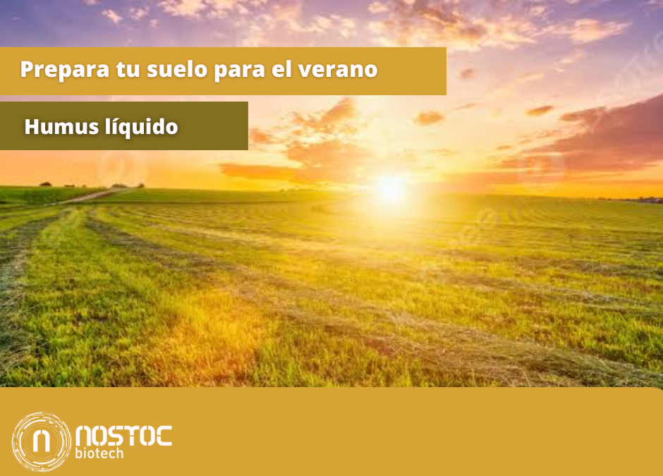 retención de agua en el suelo