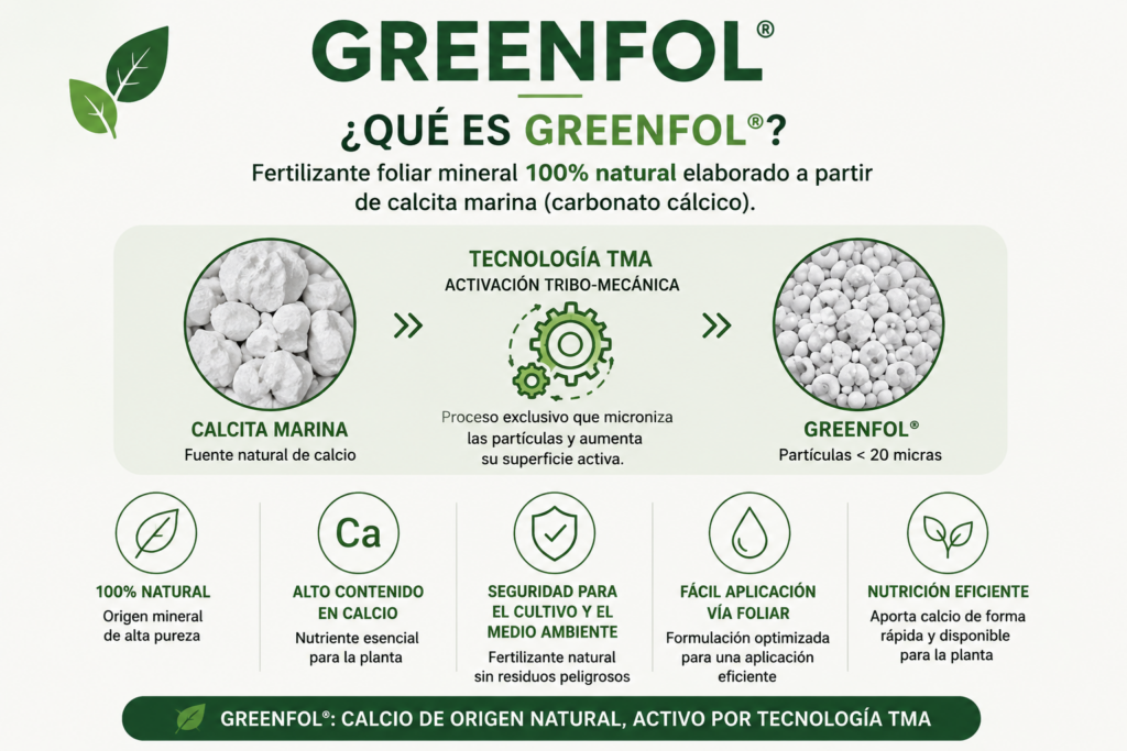 Greenfol: fertilizante foliar con calcita marina