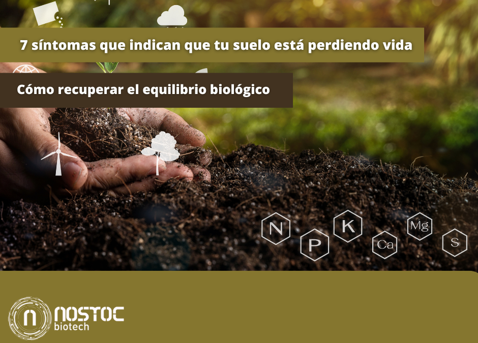 Los 7 síntomas que indican que tu suelo está perdiendo vida