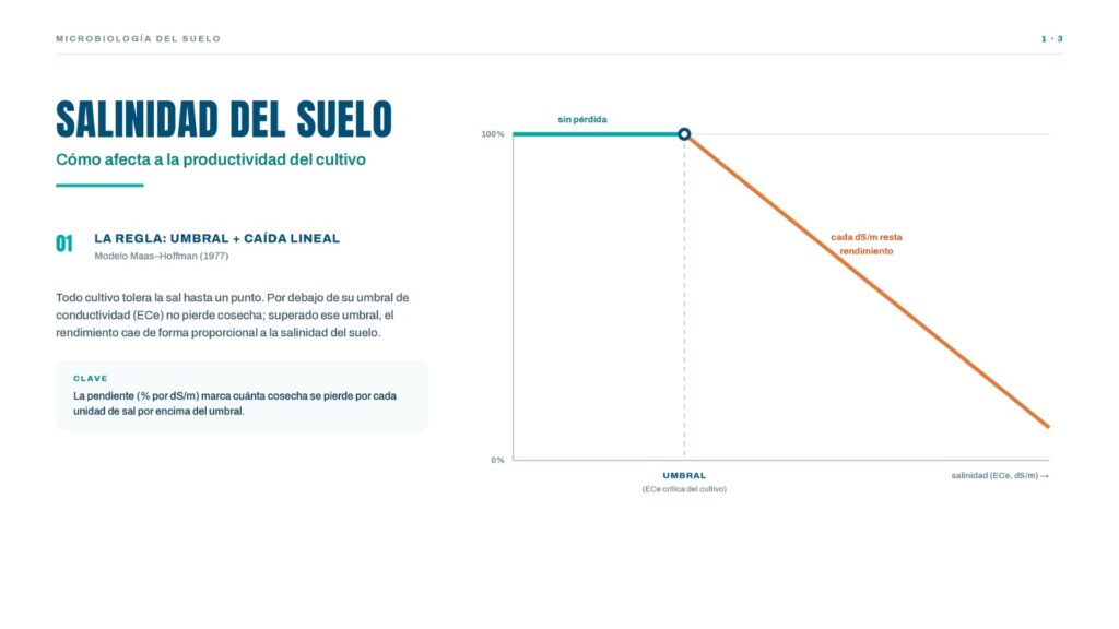 Gráfico del modelo Maas-Hoffman sobre salinidad del suelo: el rendimiento del cultivo se mantiene al 100% hasta el umbral de conductividad eléctrica (ECe) del suelo y, superado ese punto, cae de forma lineal a medida que aumenta la salinidad