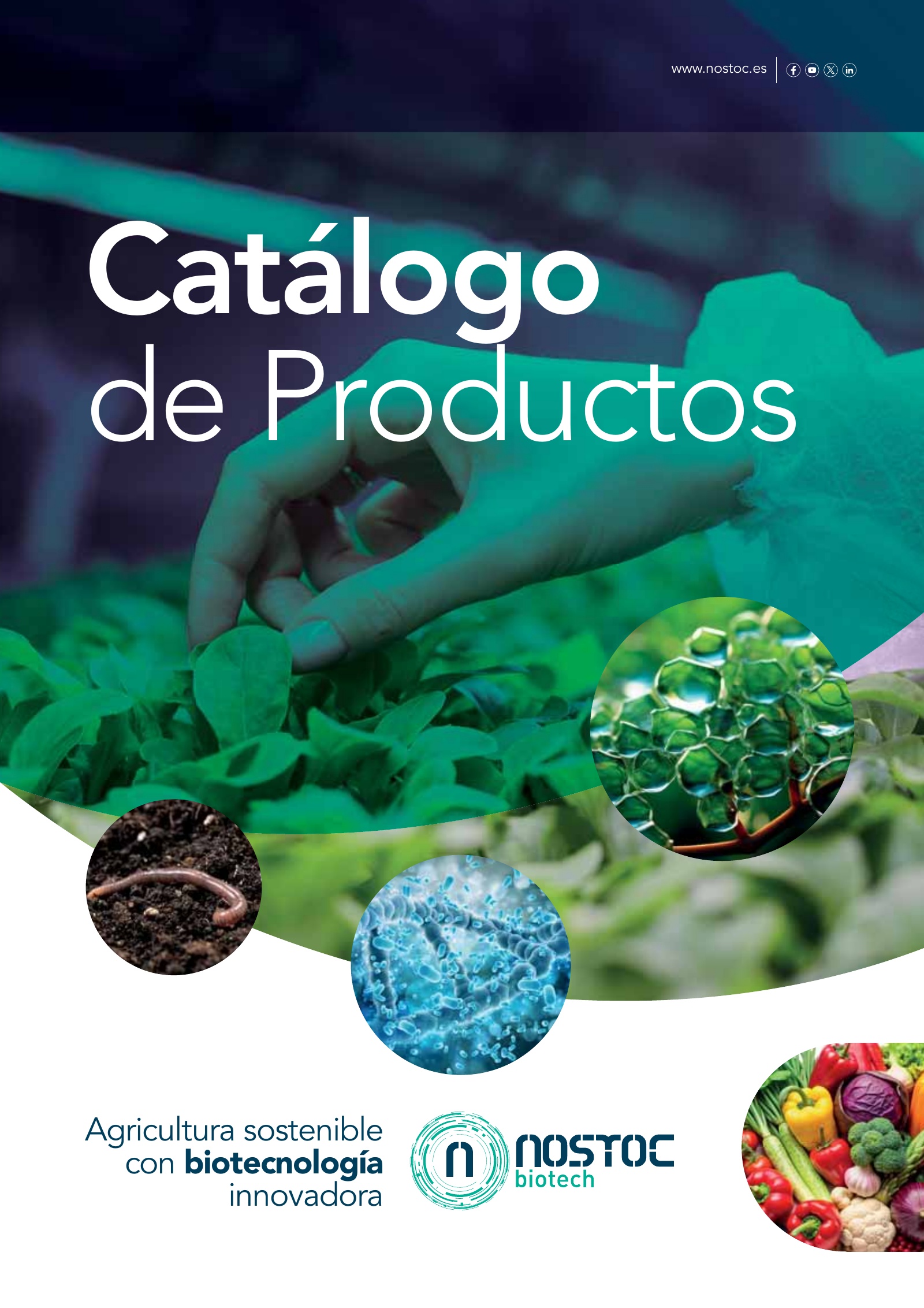 Catálogo de productos Nostoc 2026 Portada del Catálogo de productos Nostoc 2026