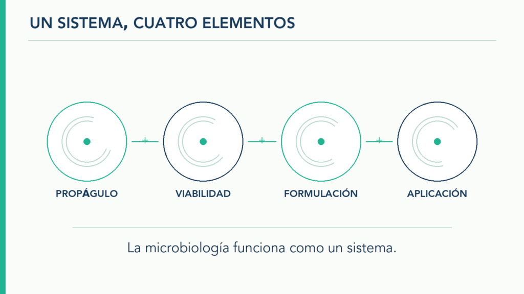 Gráfico editorial que relaciona propágulo, viabilidad, formulación y aplicación como elementos de un sistema microbiológico.