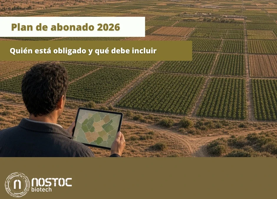 Agricultor consultando la planificación de parcelas agrícolas en un plan de abonado